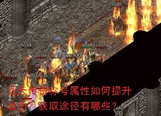 ���촫��ƺ������������ս������ȡ;������Щ��