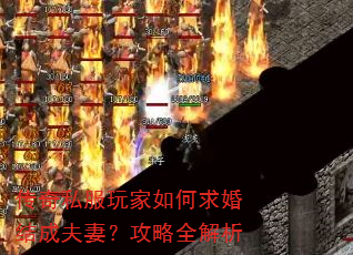 ����˽������������ɷ��ޣ�����ȫ����