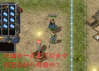 法道合一在星王组合中的实战技巧有哪些? 法道合一在星王组合中的实战技巧有哪些?