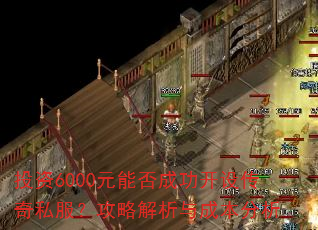 Ͷ��6000Ԫ�ܷ�ɹ����贫��˽�������Խ�����ɱ�����