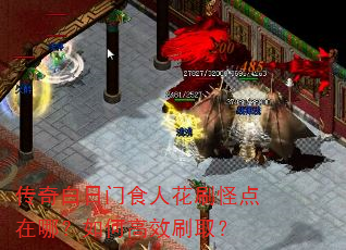 传奇白日门食人花刷怪点在哪?如何高效刷取? 传奇白日门食人花刷怪点在哪?如何高效刷取?