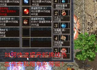 如何快速提升新挑战热血传奇私服角色等级? 如何快速提升新挑战热血传奇私服角色等级?