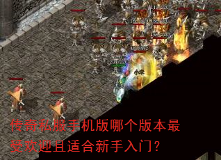 传奇私服手机版哪个版本最受欢迎且适合新手入门? 传奇私服手机版哪个版本最受欢迎且适合新手入门?