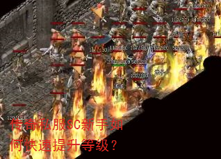 传奇私服SC新手如何快速提升等级? 传奇私服SC新手如何快速提升等级?