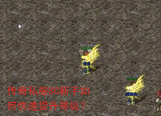 传奇私服SC新手如何快速提升等级? 传奇私服SC新手如何快速提升等级?