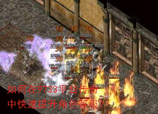 如何在9733平台传奇中快速提升角色等级? 如何在9733平台传奇中快速提升角色等级?