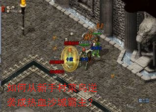 ��δ����ִ������Ϯ����Ѫɳ�ǰ�����