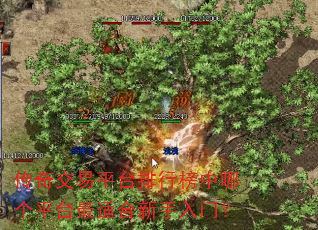 传奇交易平台排行榜中哪个平台最适合新手入门? 传奇交易平台排行榜中哪个平台最适合新手入门?