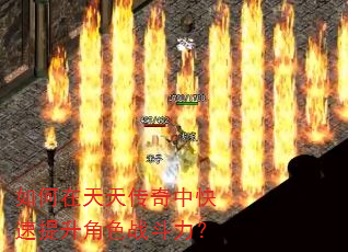 ��������촫���п���������ɫս������