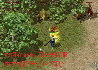 如何在sf韩版传奇私服中快速提升角色等级? 如何在sf韩版传奇私服中快速提升角色等级?