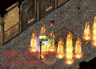 诱惑之光技能需要多少级才能学习? 诱惑之光技能需要多少级才能学习?