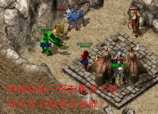 传奇私服一区刺客多少级可以学习鬼灵步技能? 传奇私服一区刺客多少级可以学习鬼灵步技能?