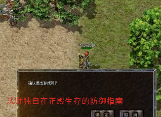 法师独自在正殿生存的防御指南 法师独自在正殿生存的防御指南