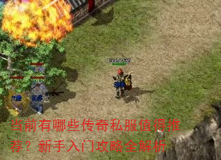 当前有哪些传奇私服值得推荐?新手入门攻略全解析 当前有哪些传奇私服值得推荐?新手入门攻略全解析