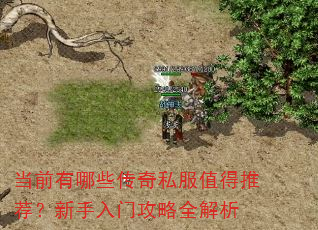 当前有哪些传奇私服值得推荐?新手入门攻略全解析 当前有哪些传奇私服值得推荐?新手入门攻略全解析