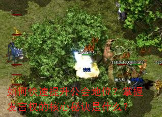 如何快速提升公会地位?掌握发言权的核心秘诀是什么? 如何快速提升公会地位?掌握发言权的核心秘诀是什么?