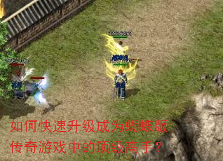 如何快速升级成为蝴蝶版传奇游戏中的顶级高手? 如何快速升级成为蝴蝶版传奇游戏中的顶级高手?