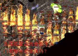 九尾狐复古传奇新手入门有哪些必备技巧? 九尾狐复古传奇新手入门有哪些必备技巧?