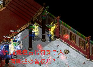 九尾狐复古传奇新手入门有哪些必备技巧? 九尾狐复古传奇新手入门有哪些必备技巧?