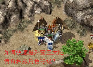 如何快速提升霸王大陆传奇私服角色等级? 如何快速提升霸王大陆传奇私服角色等级?
