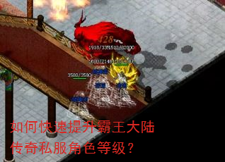 如何快速提升霸王大陆传奇私服角色等级? 如何快速提升霸王大陆传奇私服角色等级?