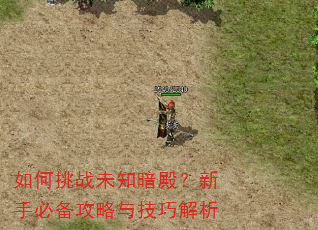 如何挑战未知暗殿?新手必备攻略与技巧解析 如何挑战未知暗殿?新手必备攻略与技巧解析