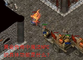�ƽ�����ħ��NPC�ľ��幦����ʲô��