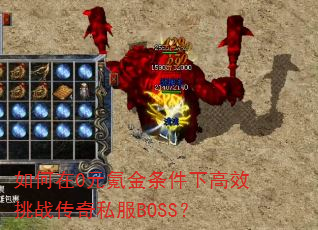 如何在0元氪金条件下高效挑战传奇私服BOSS? 如何在0元氪金条件下高效挑战传奇私服BOSS?