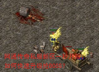 网通传奇私服新区一秒开服,如何快速升级抢BOSS? 网通传奇私服新区一秒开服,如何快速升级抢BOSS?