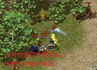 如何快速提升霸业复古传奇中的角色等级? 如何快速提升霸业复古传奇中的角色等级?