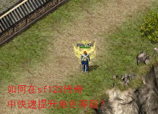 如何在sf123传奇中快速提升角色等级? 如何在sf123传奇中快速提升角色等级?
