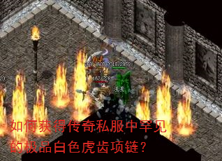 如何获得传奇私服中罕见的极品白色虎齿项链? 如何获得传奇私服中罕见的极品白色虎齿项链?
