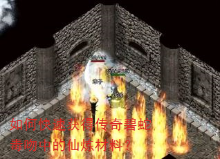 如何快速获得传奇碧蛇毒吻中的仙炼材料? 如何快速获得传奇碧蛇毒吻中的仙炼材料?