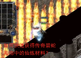 如何快速获得传奇碧蛇毒吻中的仙炼材料? 如何快速获得传奇碧蛇毒吻中的仙炼材料?