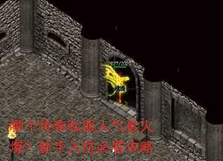 哪个传奇私服人气最火爆?新手入坑必看攻略 哪个传奇私服人气最火爆?新手入坑必看攻略