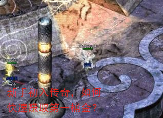 新手初入传奇,如何快速赚取第一桶金? 新手初入传奇,如何快速赚取第一桶金?