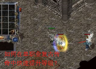 如何在单职业复古传奇中快速提升等级? 如何在单职业复古传奇中快速提升等级?