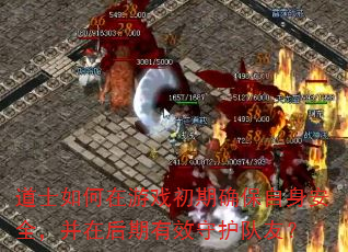 道士如何在游戏初期确保自身安全,并在后期有效守护队友? 道士如何在游戏初期确保自身安全,并在后期有效守护队友?