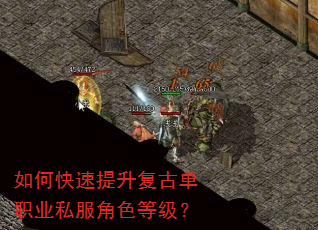 如何快速提升复古单职业私服角色等级? 如何快速提升复古单职业私服角色等级?