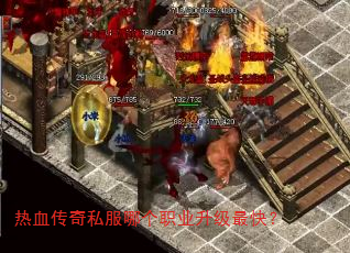 ��Ѫ����˽���ĸ�ְҵ������죿