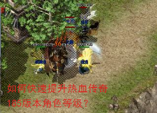 如何快速提升热血传奇185版本角色等级? 如何快速提升热血传奇185版本角色等级?