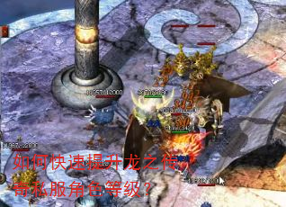 如何快速提升龙之传奇私服角色等级? 如何快速提升龙之传奇私服角色等级?