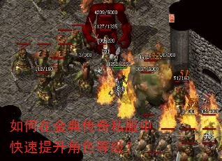 如何在金典传奇私服中快速提升角色等级? 如何在金典传奇私服中快速提升角色等级?