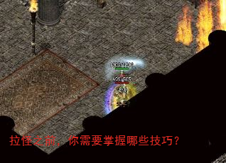 拉怪之前,你需要掌握哪些技巧? 拉怪之前,你需要掌握哪些技巧?