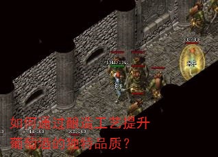 如何通过酿造工艺提升葡萄酒的独特品质? 如何通过酿造工艺提升葡萄酒的独特品质?