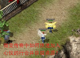 微变传奇中如何快速加入心仪的行会并获取资源? 微变传奇中如何快速加入心仪的行会并获取资源?
