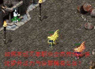 ������¿���ְҵ��̬�����п�������ս�����ȡϡ��װ����
