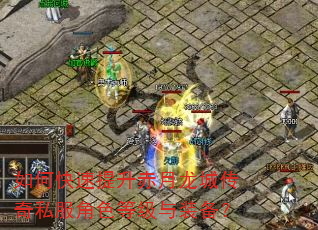 如何快速提升赤月龙城传奇私服角色等级与装备? 如何快速提升赤月龙城传奇私服角色等级与装备?