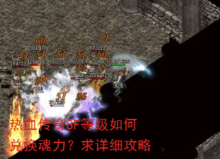 ��Ѫ����SF�ȼ���ζһ�����������ϸ����