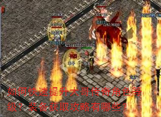如何快速提升大哥传奇角色等级?装备获取攻略有哪些? 如何快速提升大哥传奇角色等级?装备获取攻略有哪些?